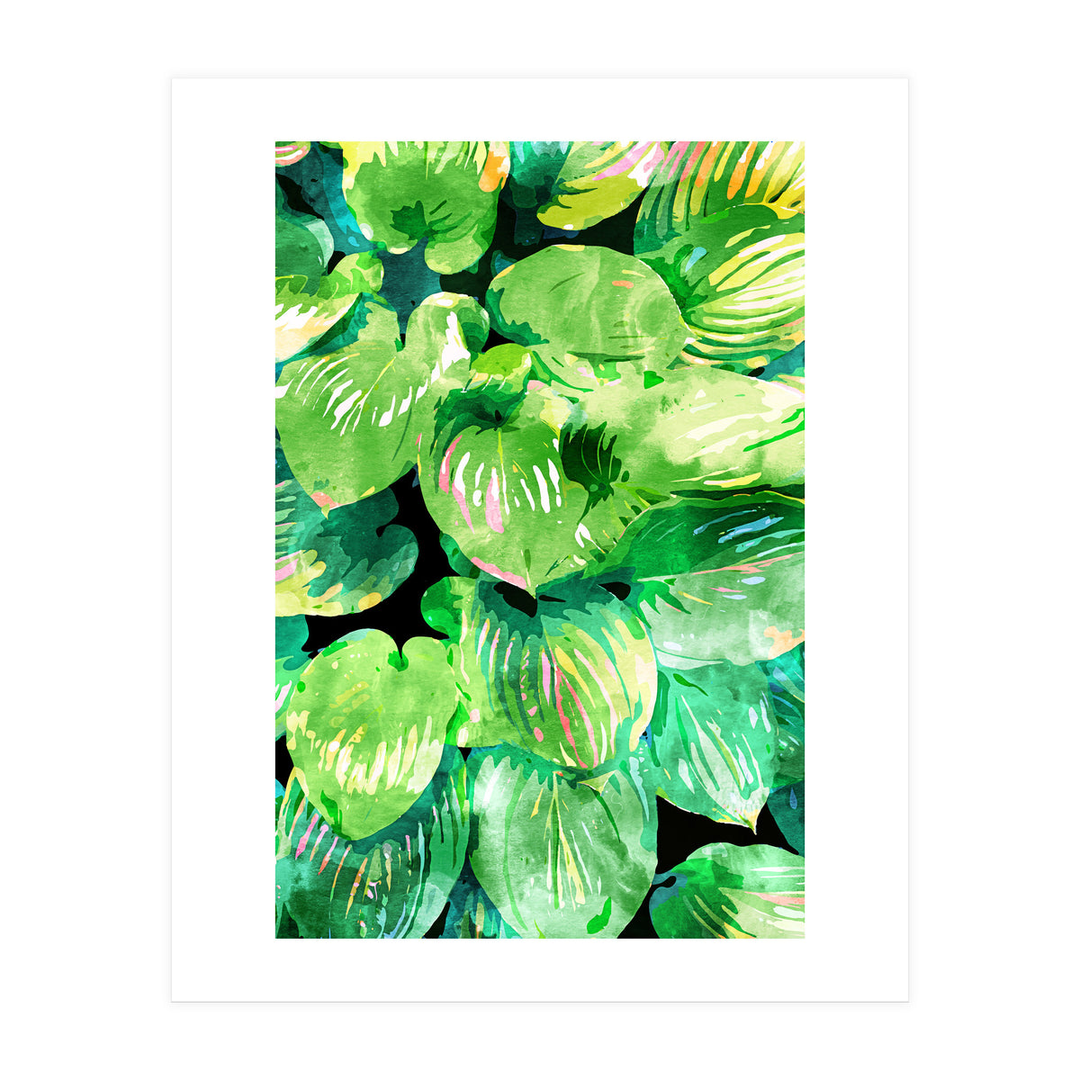 Colors Of The Jungle (Print Only)