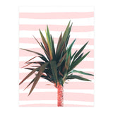 Dreamer (Print Only) thumbnail