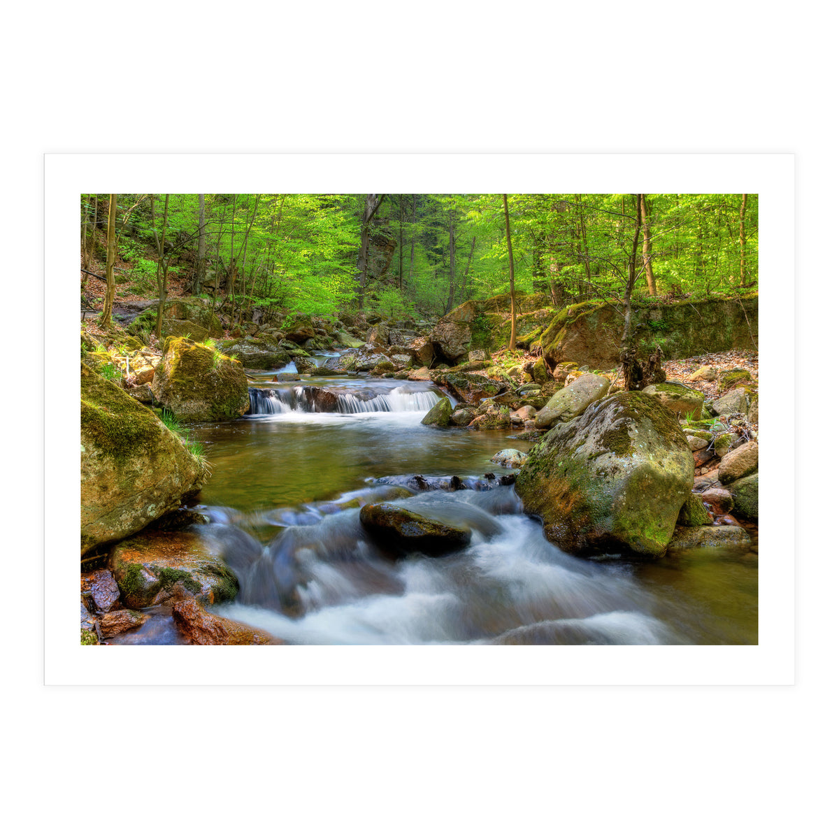 Spring At Harz Moutain (Print Only)
