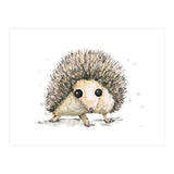 Hedgehog (Print Only) thumbnail