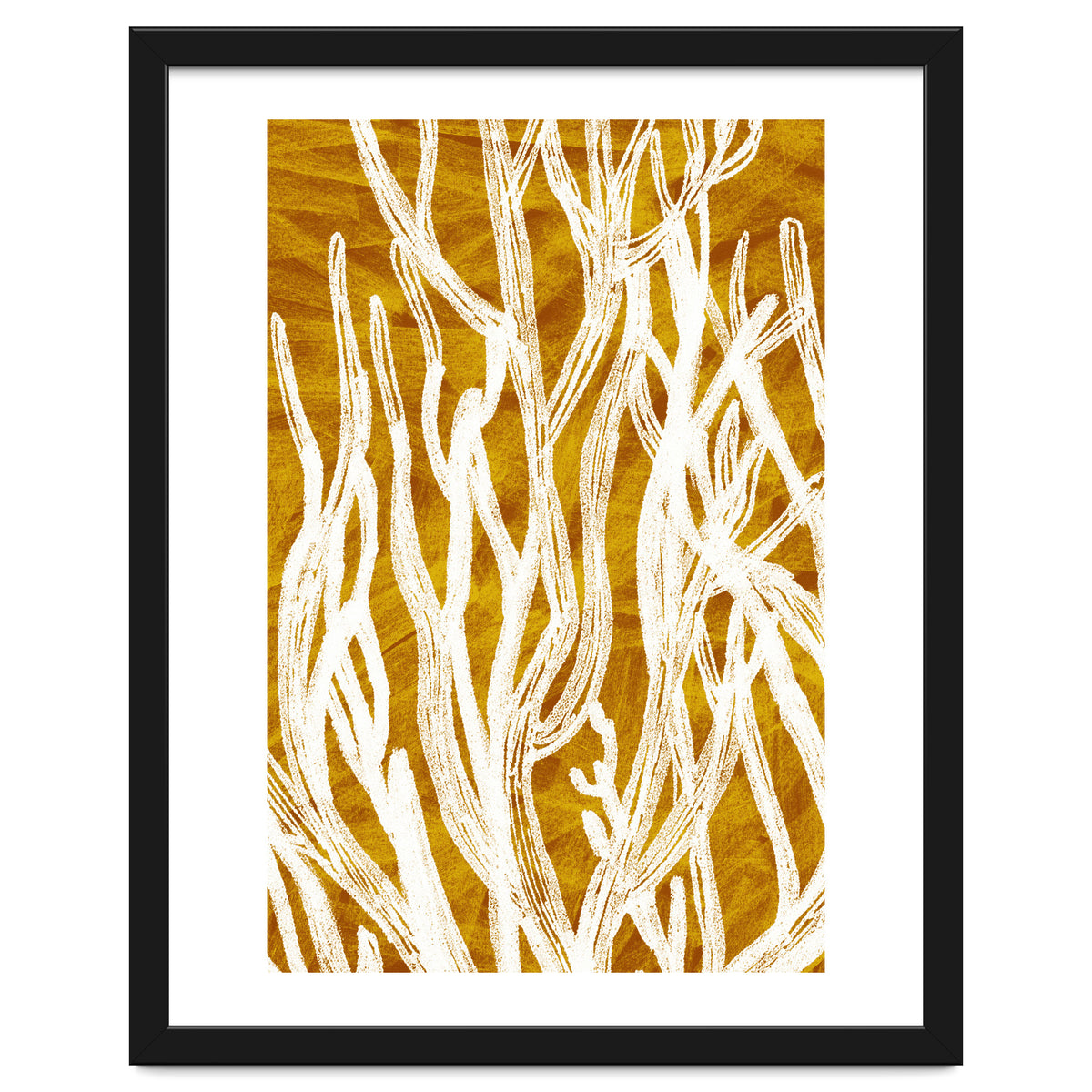 Desert Colours Collection 1