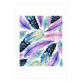 Wild Feathers (Print Only) thumbnail