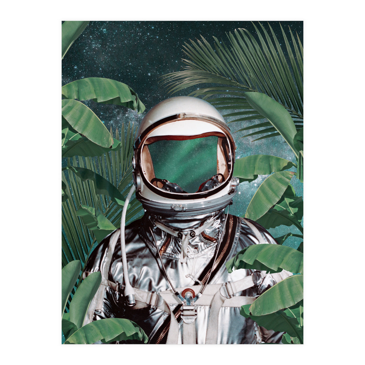 Paradise Found (Print Only)