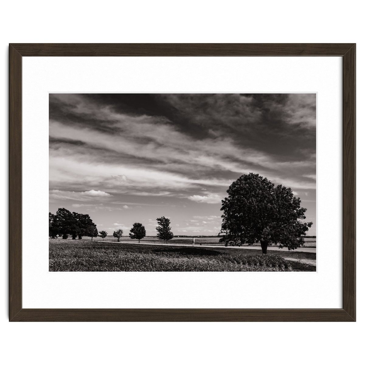 Country Road, Illinois