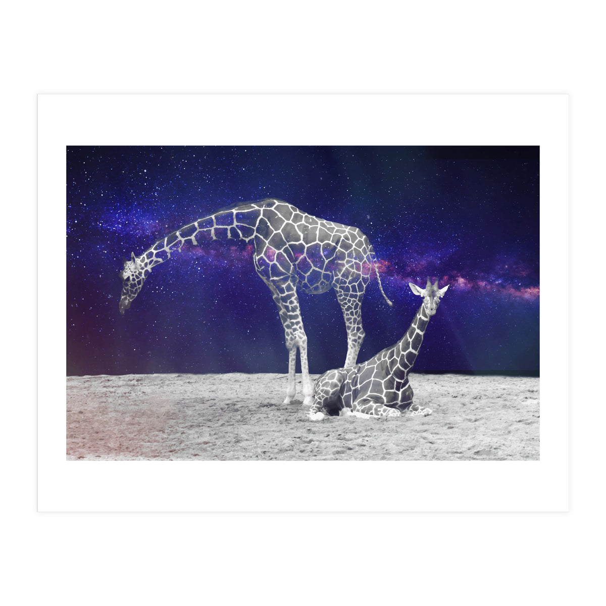 Giraffes on The Moon (Print Only)
