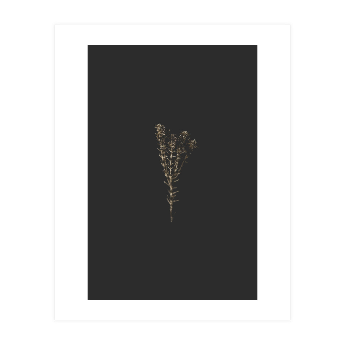 Moody Golden Botanicals (Print Only)