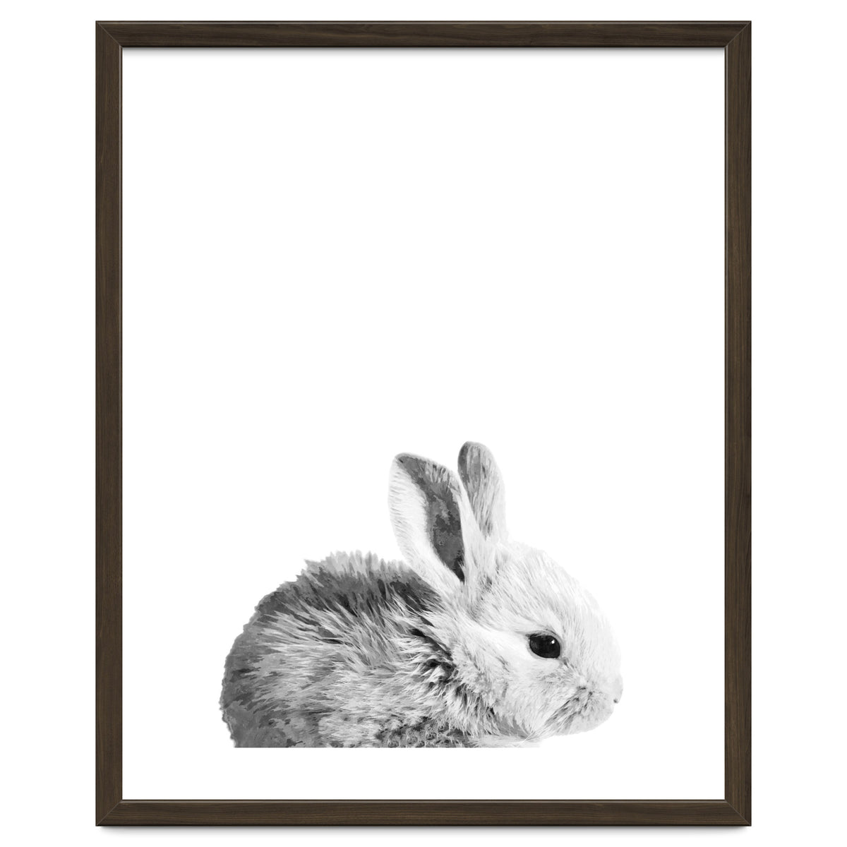 Black and White Bunny Portrait