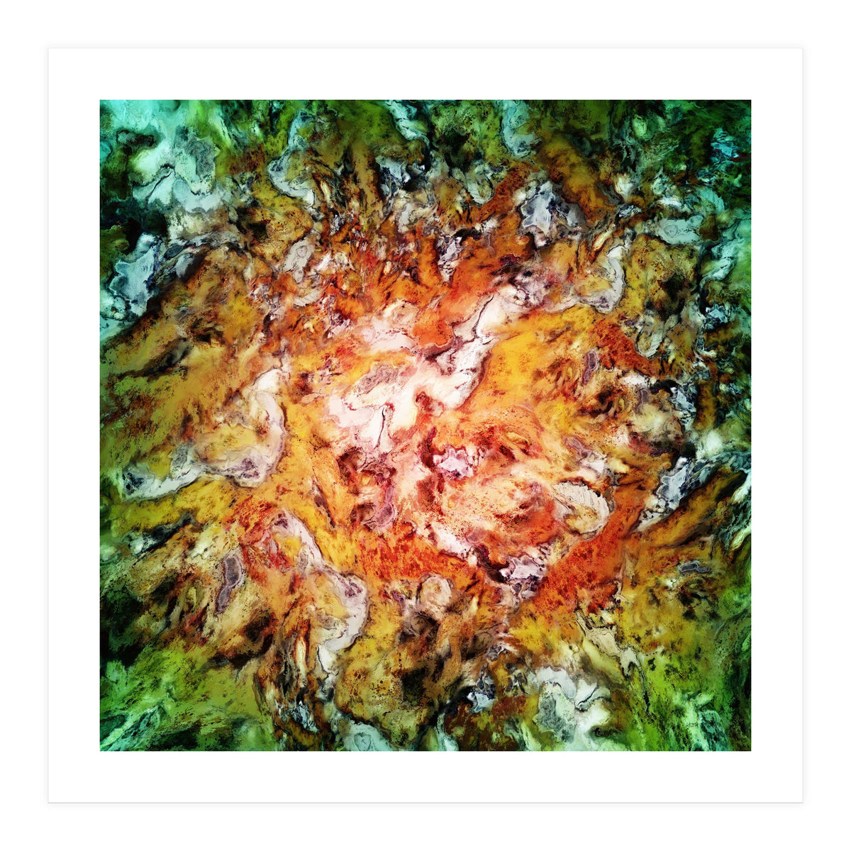 The Natural Light (Print Only)