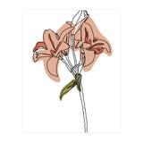 Lily (Print Only) thumbnail