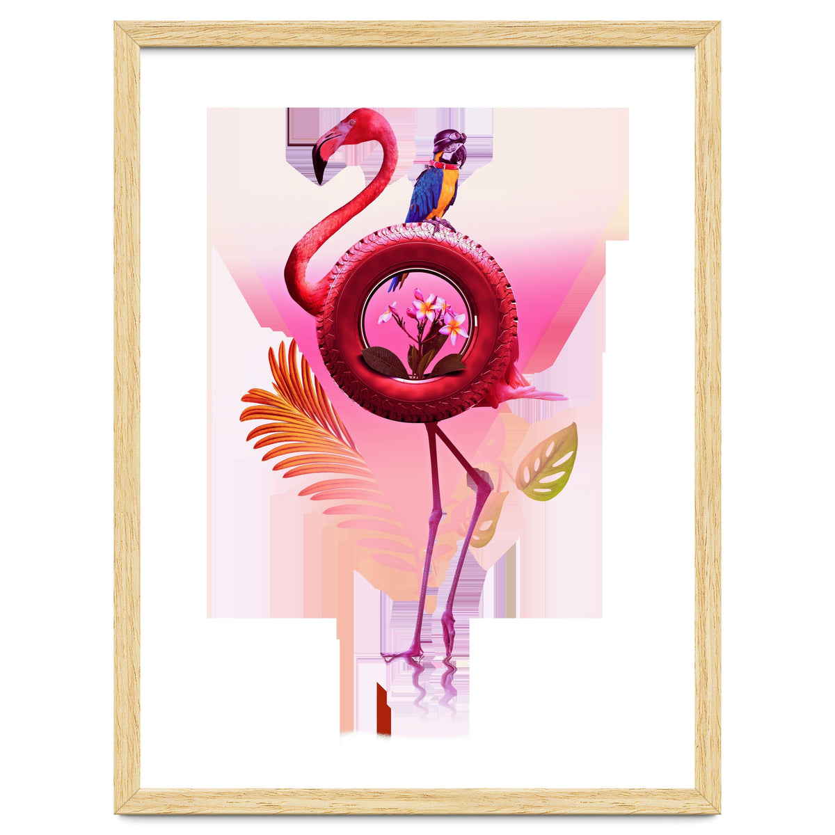 Flamingo
