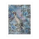 Jungle Cockatoo Blue (Print Only) thumbnail