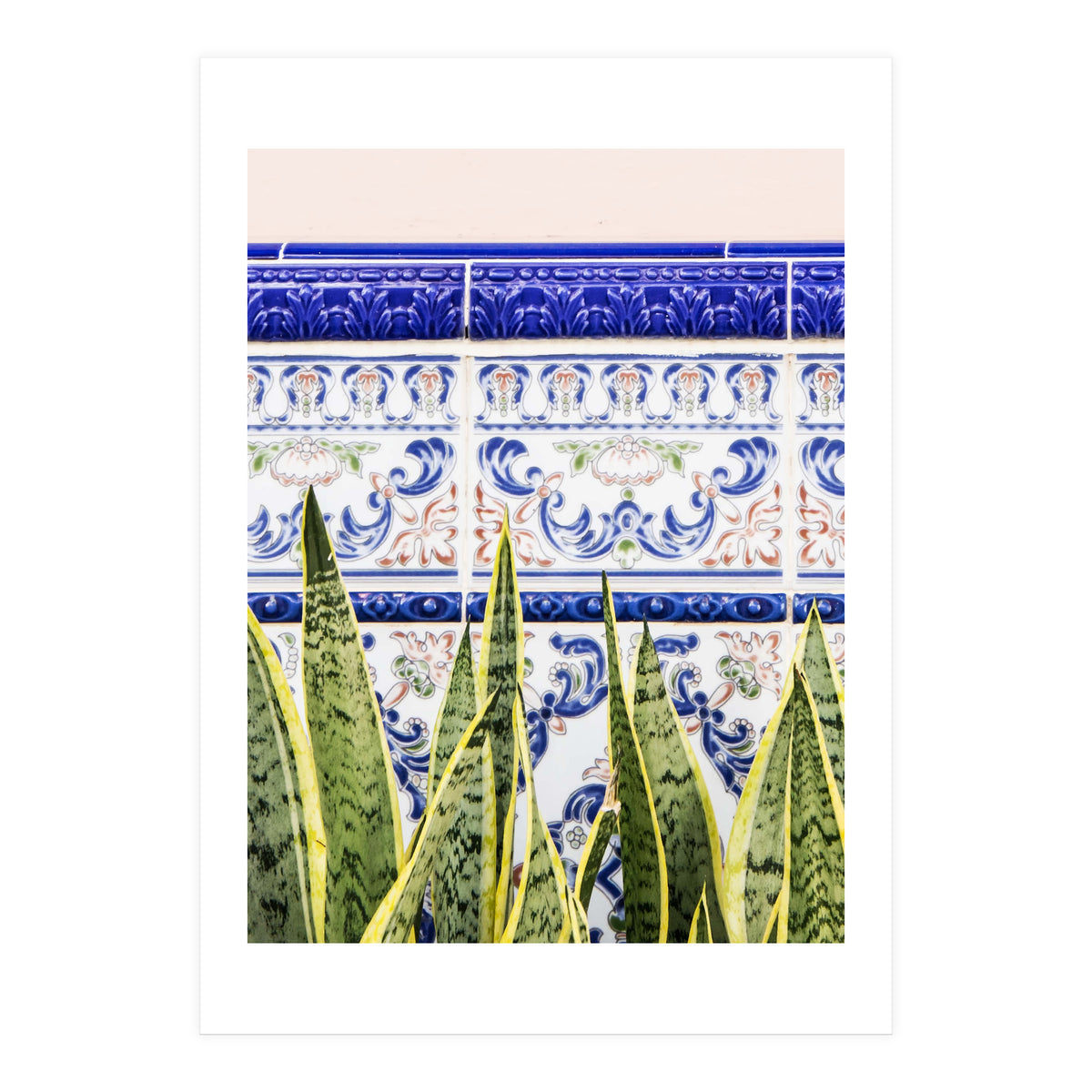 Moroccan Botany (Print Only)