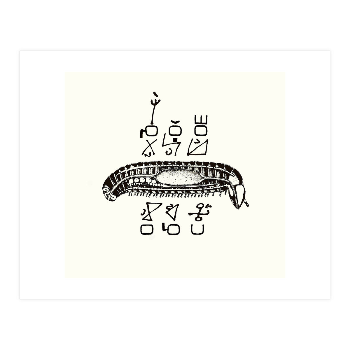 Diplopod David Felix (Print Only)