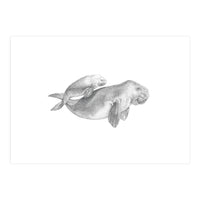 Dugongs no. 1 (Print Only)