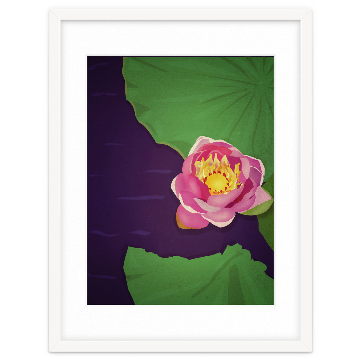 Water lily