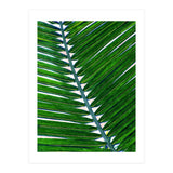 Foliage V3 (Print Only) thumbnail