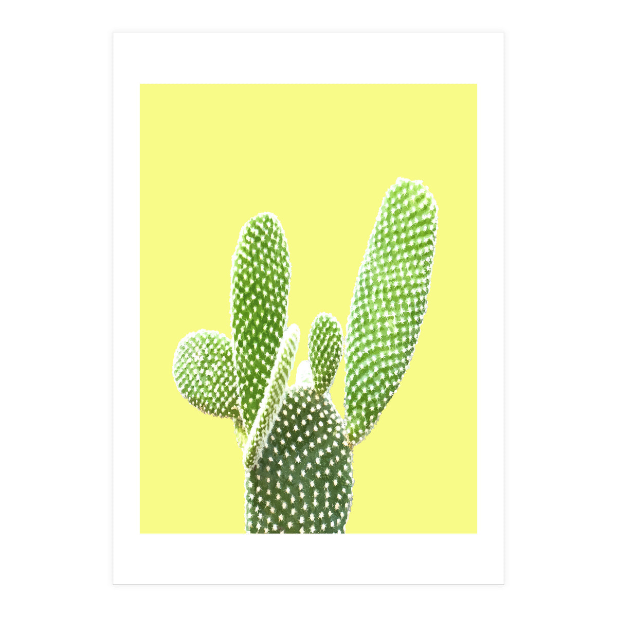 Cactus Yellow Background (Print Only)