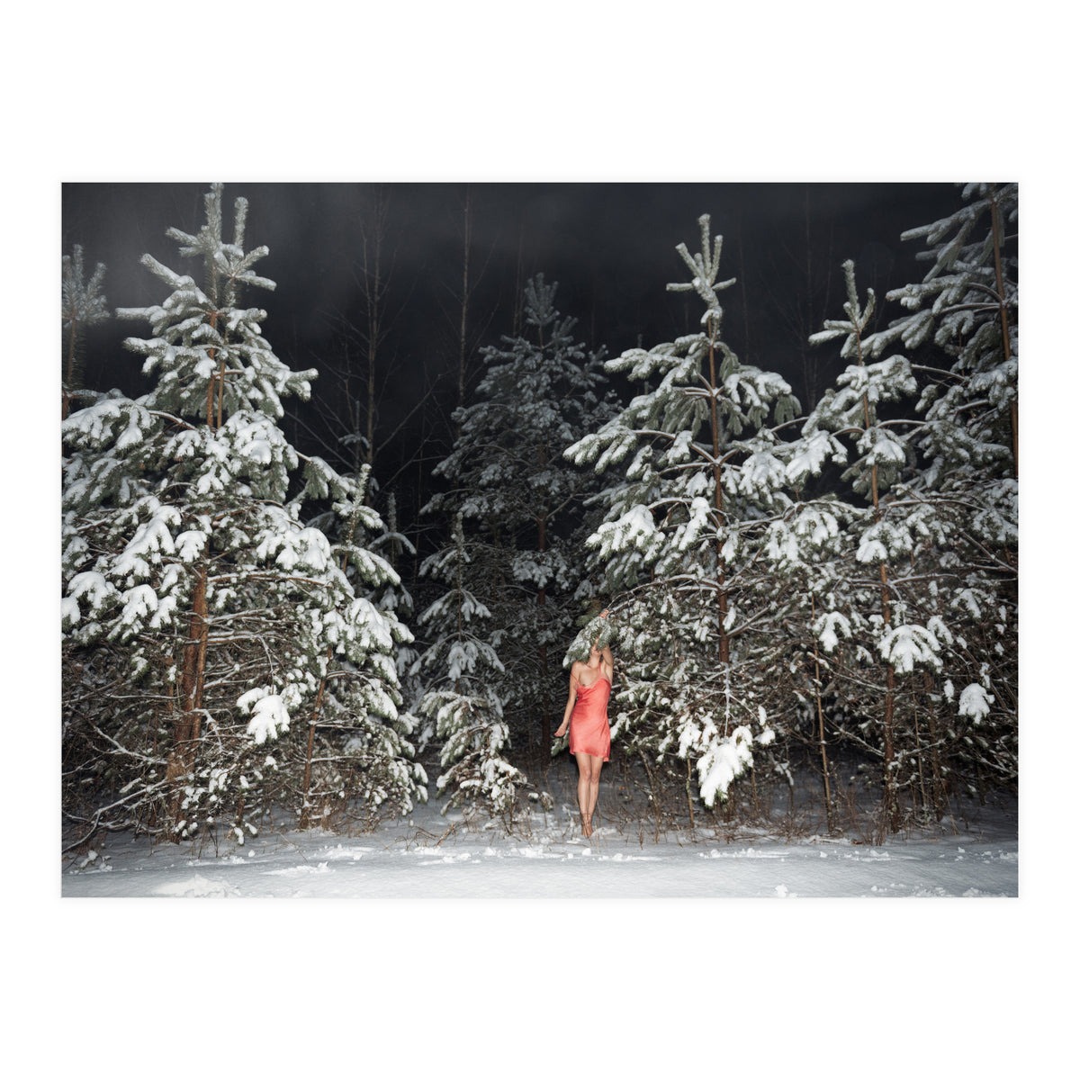 Hiding Game (Print Only)