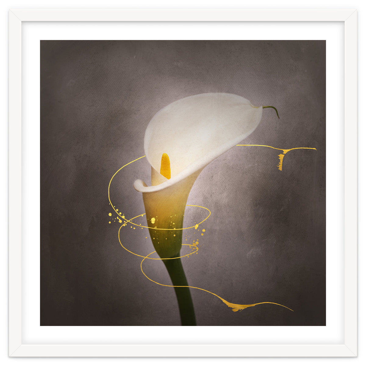Graceful flower - Calla No. 4 | vintage style gold