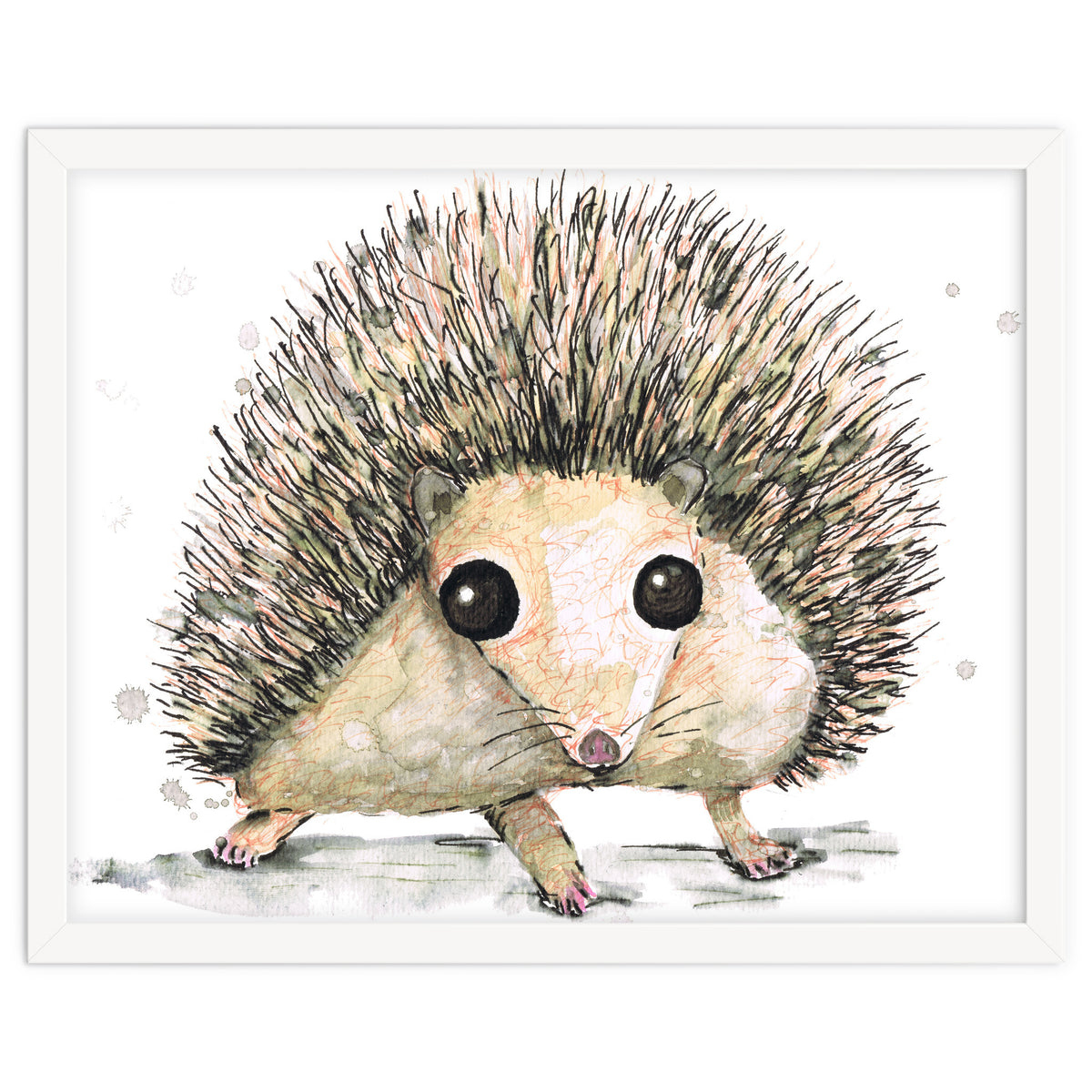 Hedgehog
