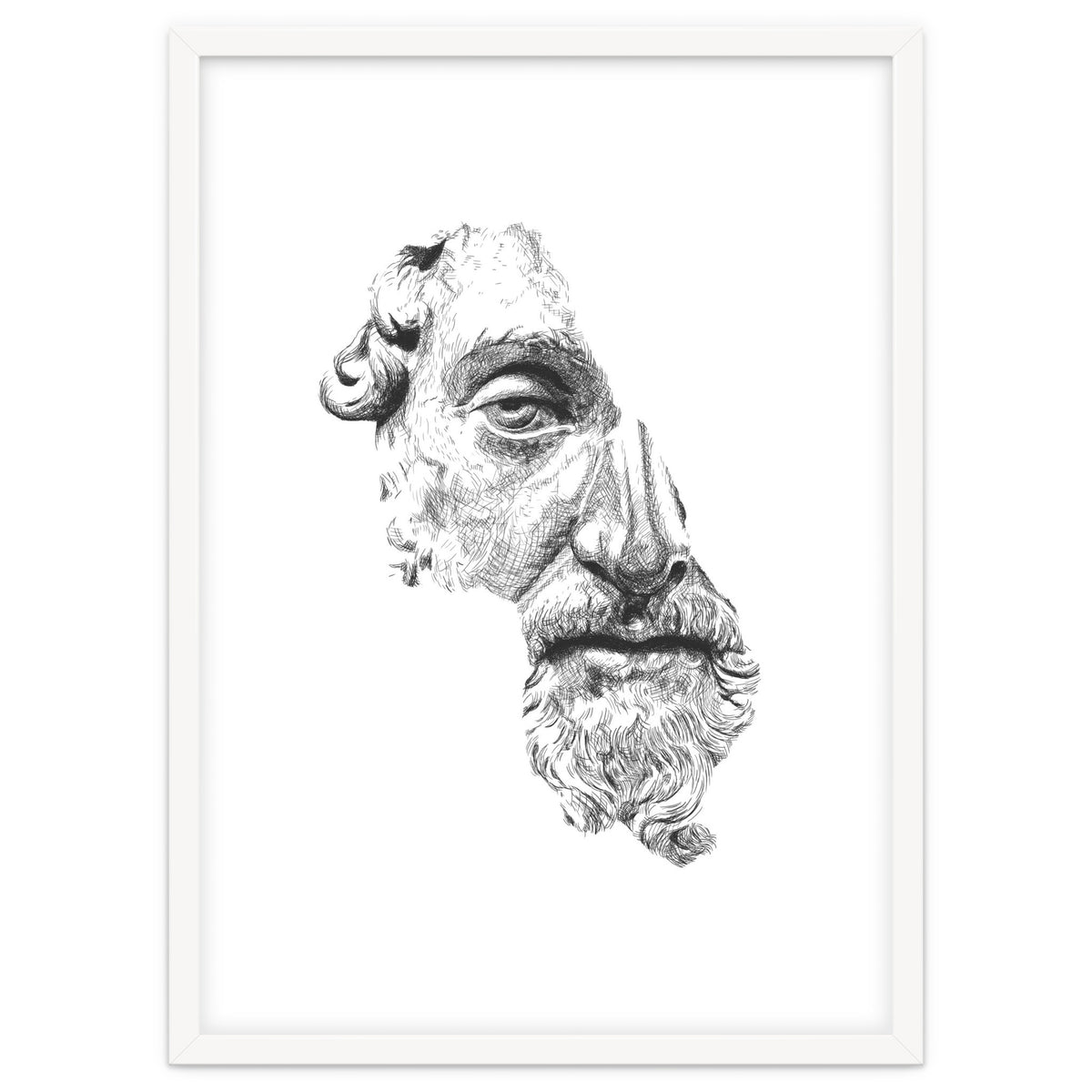 MARCUS AURELIUS ANTONINUS AUGUSTUS / black and white