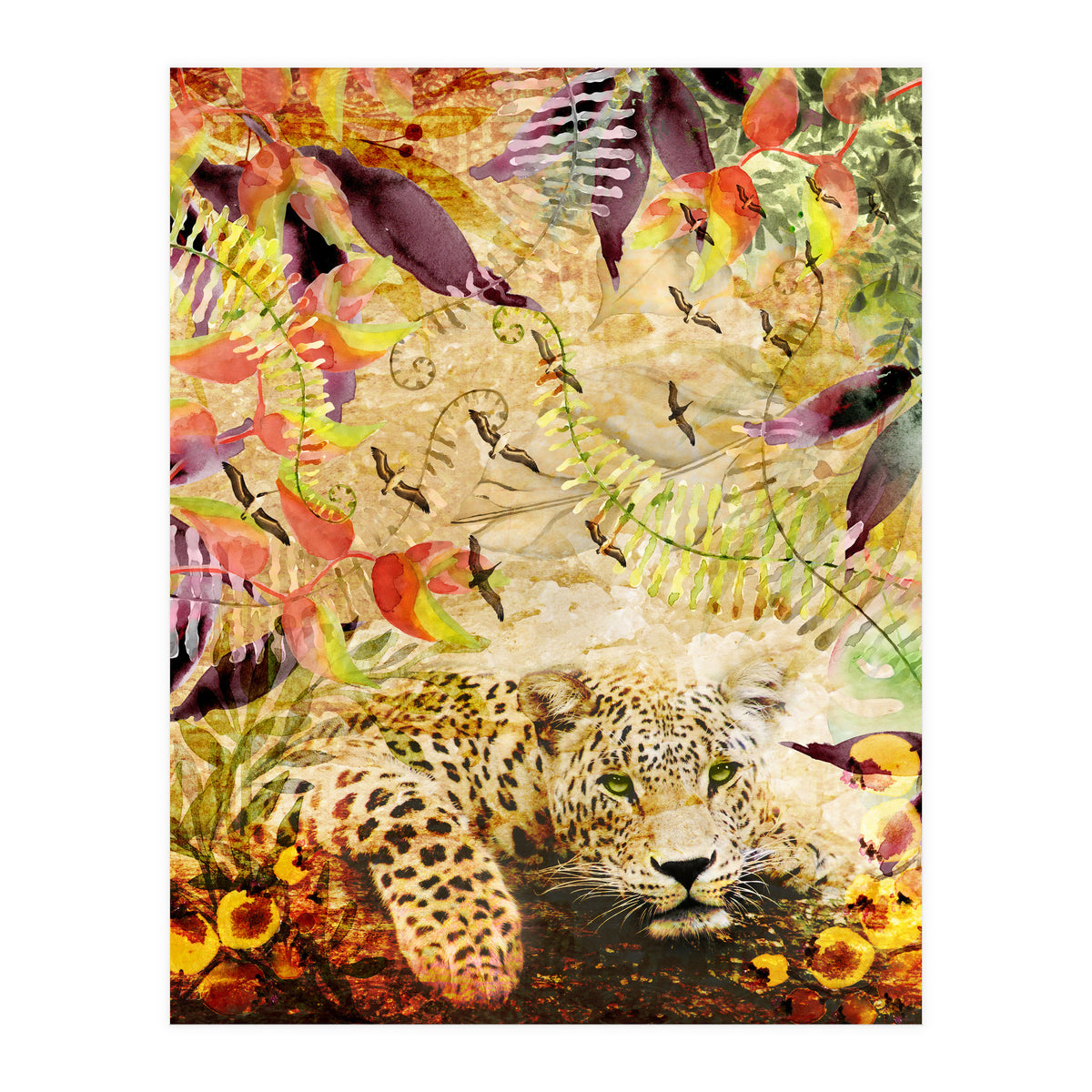 A Life Wild (Print Only)