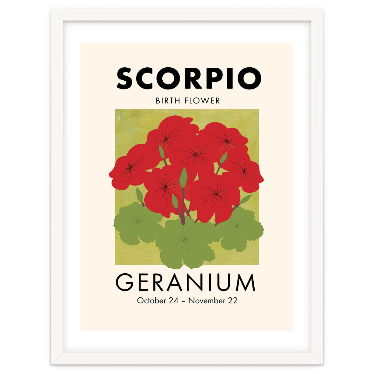 Scorpio Birth Flower Geranium