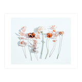 Minima (Print Only) thumbnail