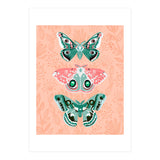 Lepidoptery No. 3 (Print Only) thumbnail
