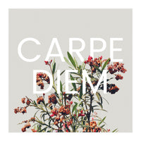 Carpe Diem (Print Only)