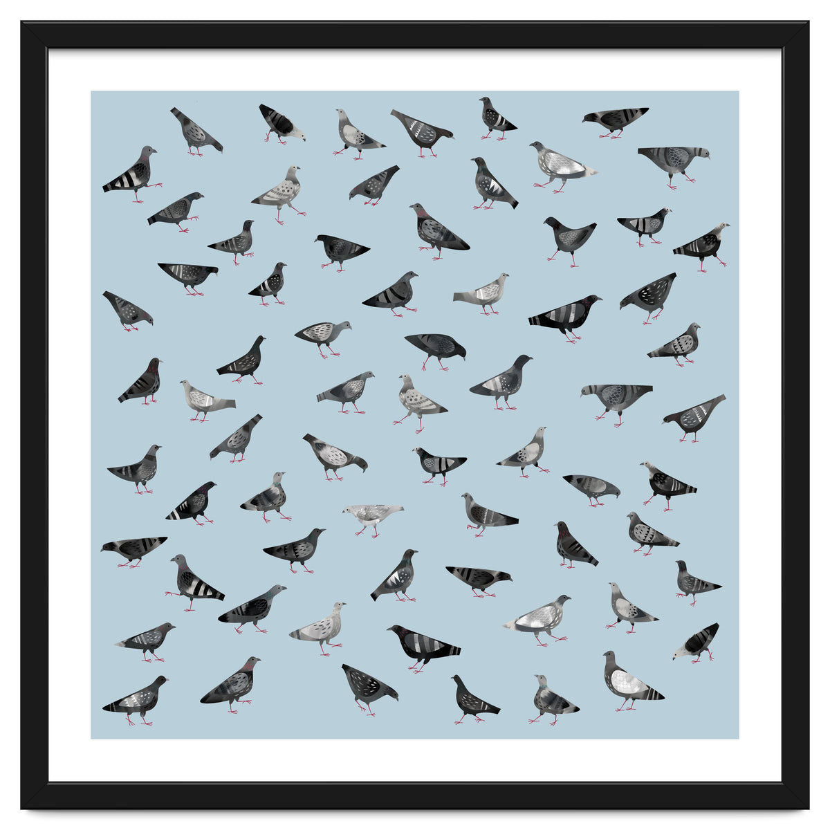 Pigeons Doing Pigeon Things