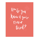 How Do You Know If You've Never Tried (Print Only) thumbnail
