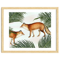 Red Fox Pair