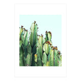 Cactus Love (Print Only) thumbnail