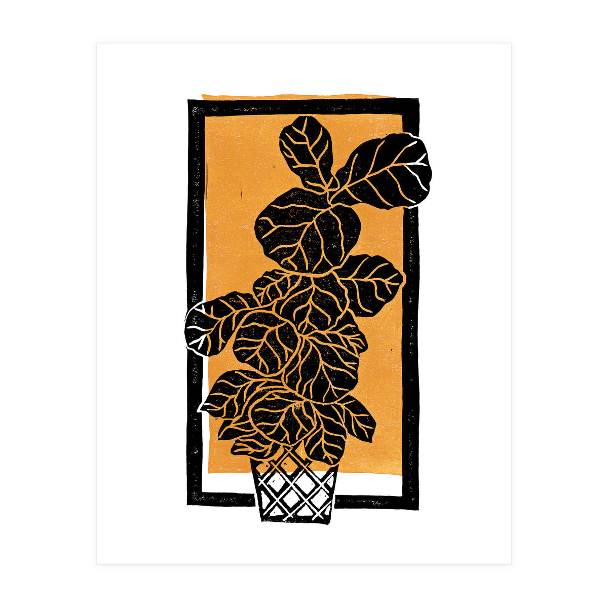 Fiddle Leaf Fig Clean + Sunlight (Print Only)