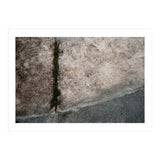 Urban #1 (Print Only) thumbnail