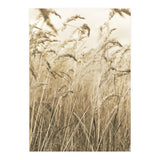 Grass (Print Only) thumbnail