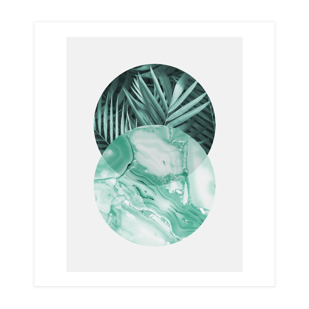 Botanical and geometric IV (Print Only)