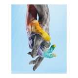 Environmental Issues Hi Res (Print Only) thumbnail