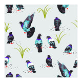 Pigeons (Print Only) thumbnail