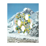 Mountain Flower (Print Only) thumbnail