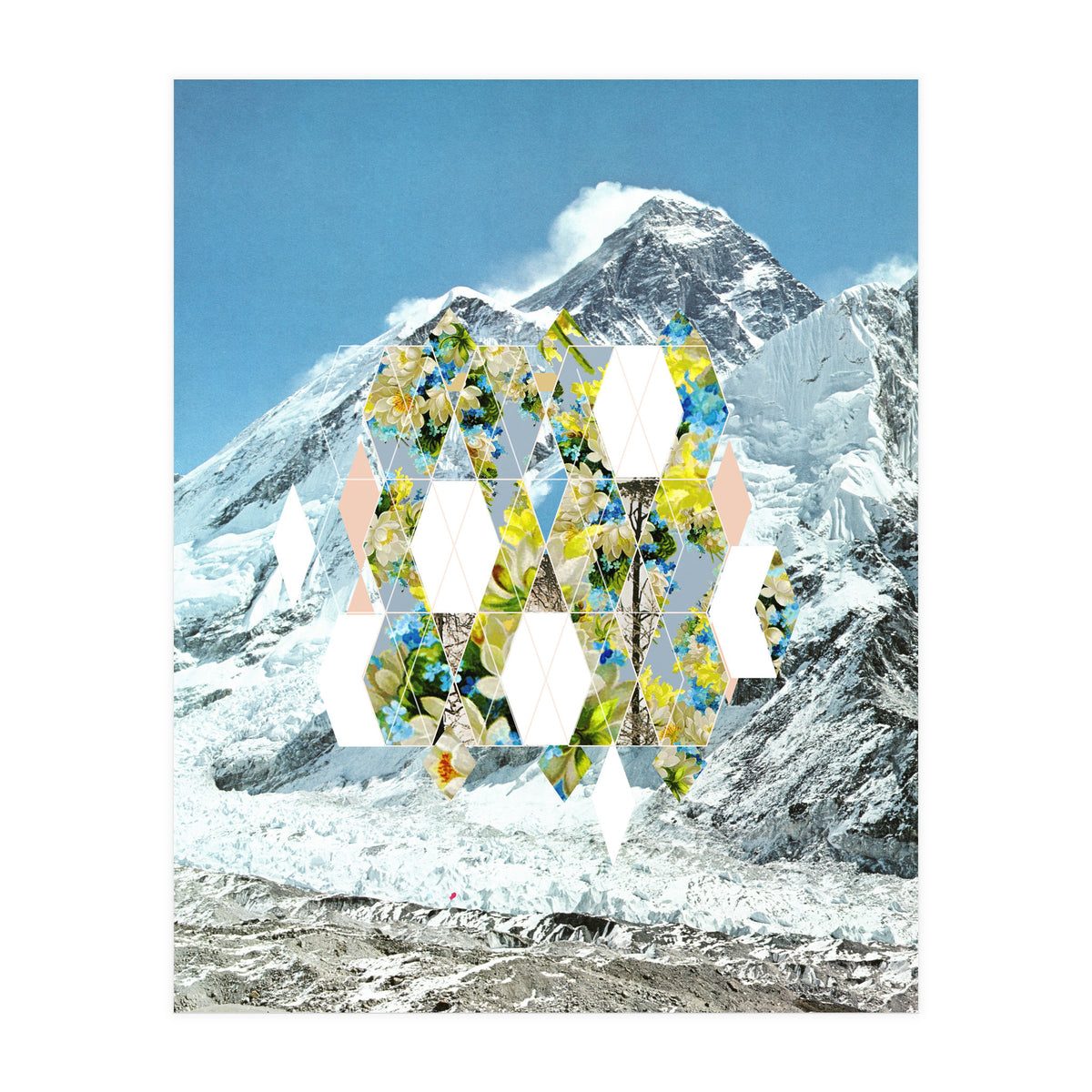 Mountain Flower (Print Only)