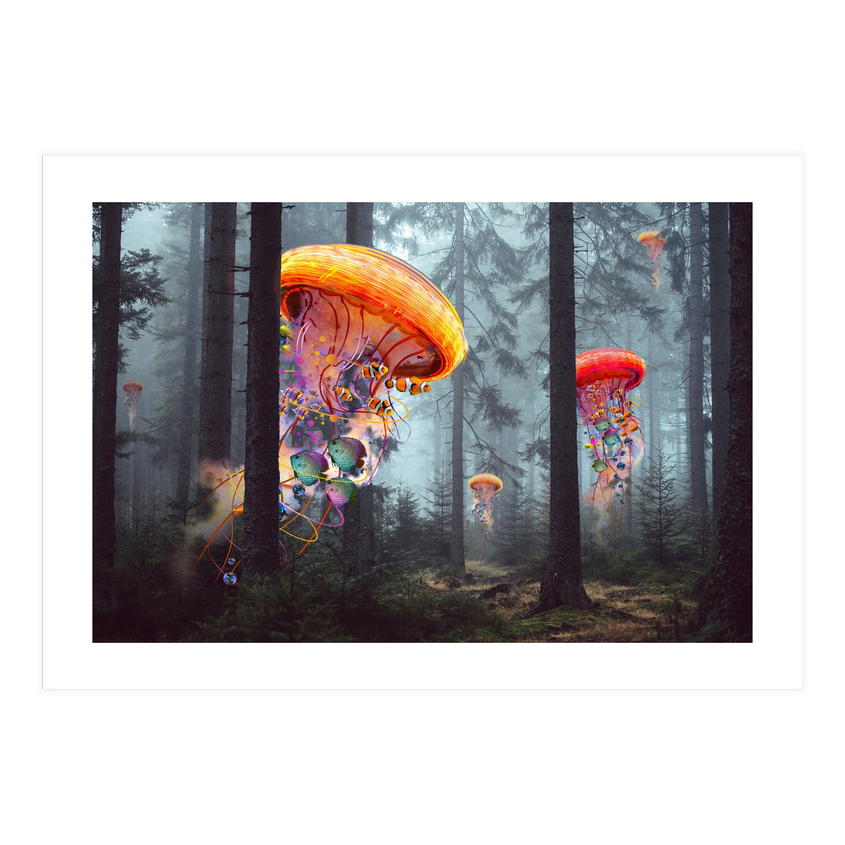 Forest Jellyfish For Print7000 (Print Only)