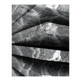 Parole  (Print Only) thumbnail
