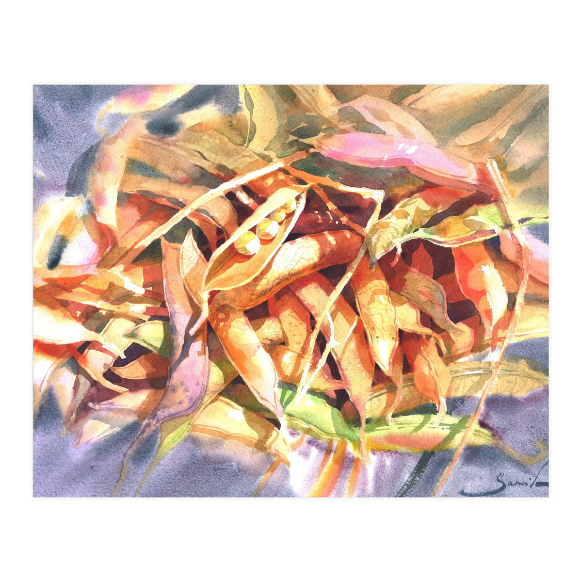 Bean Pods  (Print Only)