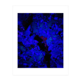 A Dark Blue Crash (Print Only) thumbnail