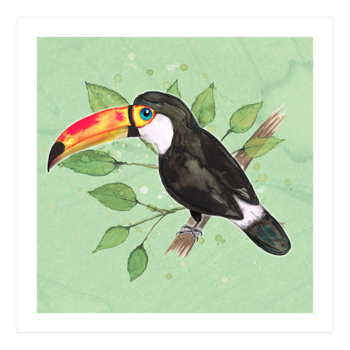 Toco toucan (Print Only)