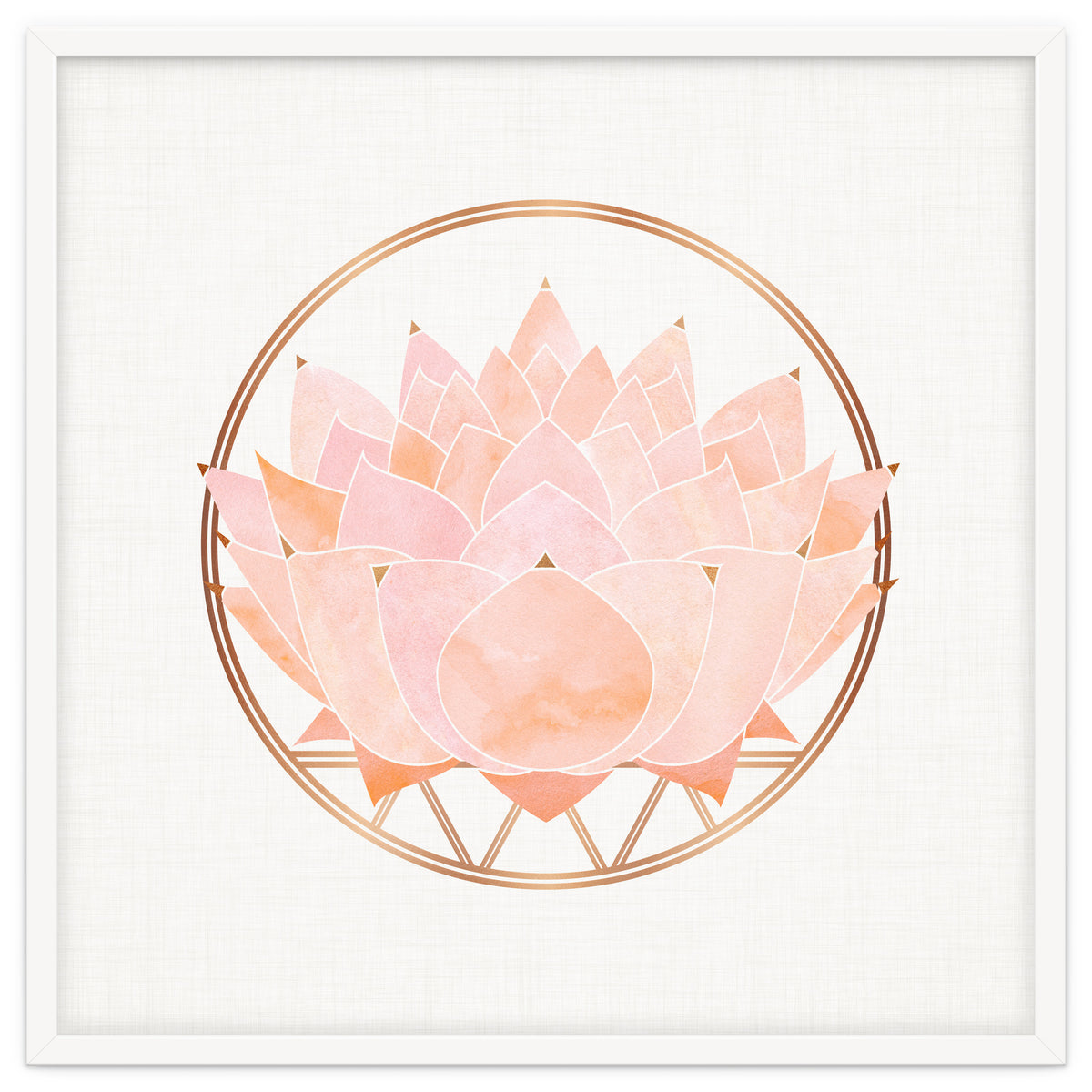 Peach Succulent  Blossom