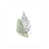 Fern (Print Only) thumbnail
