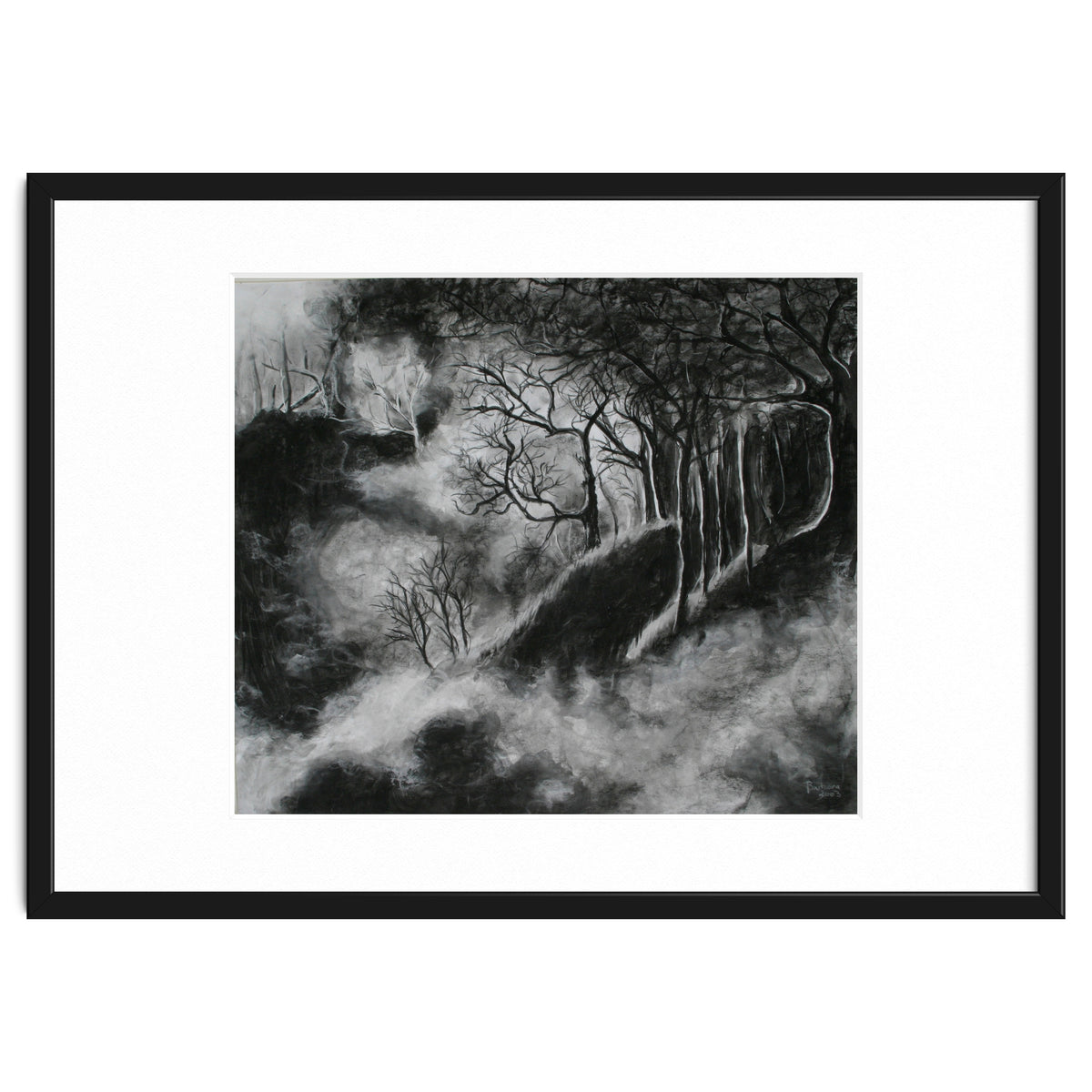 Black and White Forest in Clouds